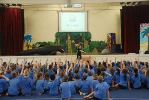 Project Jonah Whale Dolphin Marine Mammal Rescue Project Jonah