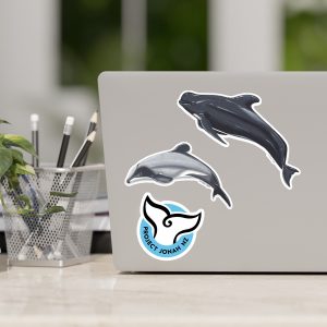Dolphin & Whale Vinyl Sticker Pack